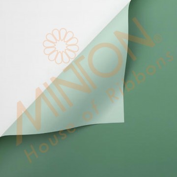 Duo Colour BOPP Plastic Wrapper, 58cmx58cmx20pieces Sage/Pastel Green