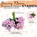 Stamen