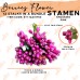 Stamen