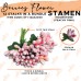 Stamen
