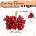Stamen