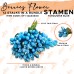 Stamen