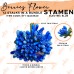 Stamen