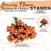 Stamen